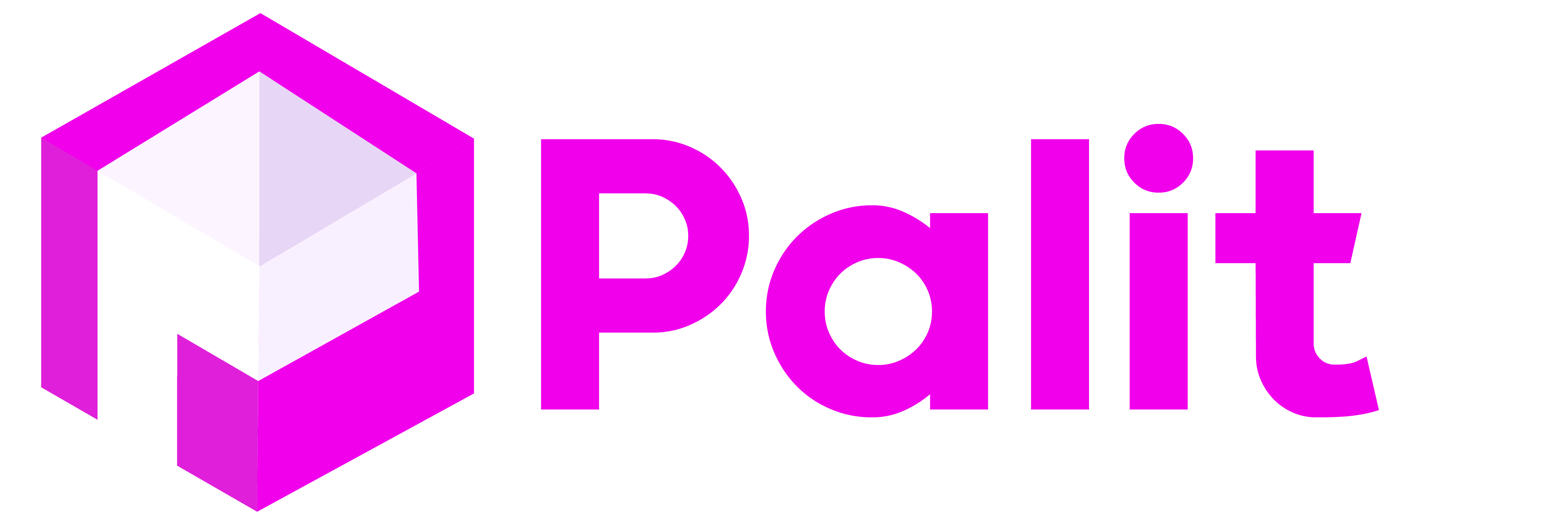 Palit logo